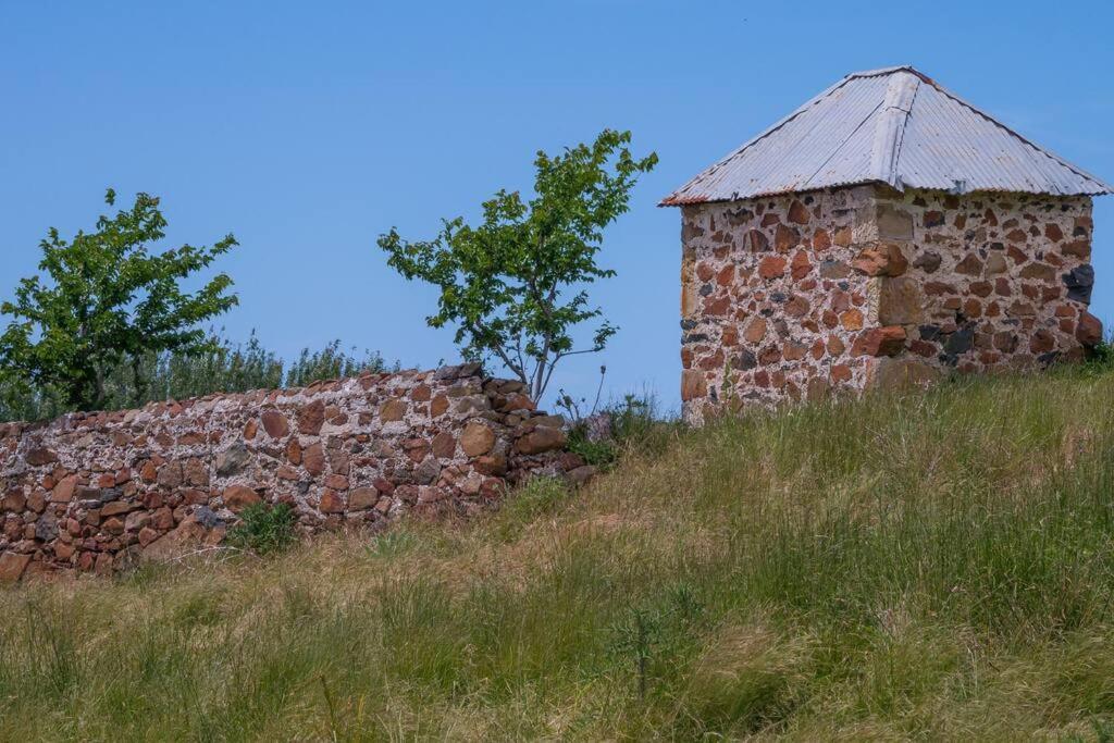 *Newly Relisted* Coach House At Lisdillon Vineyard Villa Little Swanport Dış mekan fotoğraf