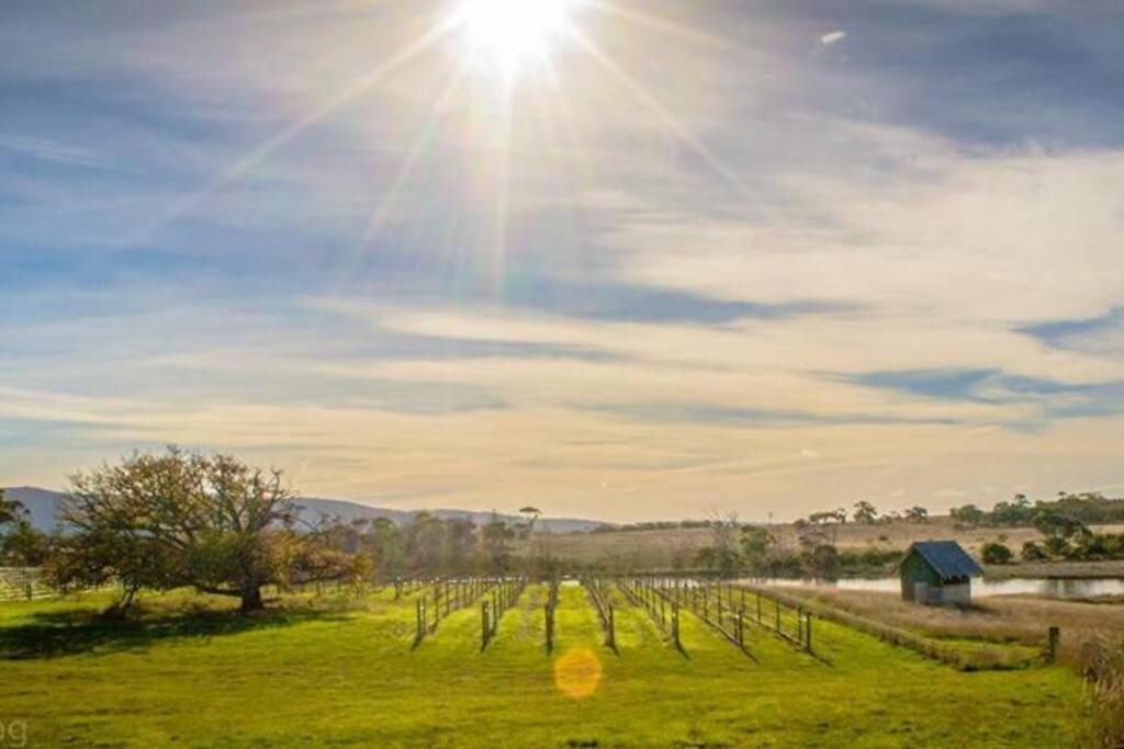 *Newly Relisted* Coach House At Lisdillon Vineyard Villa Little Swanport Dış mekan fotoğraf