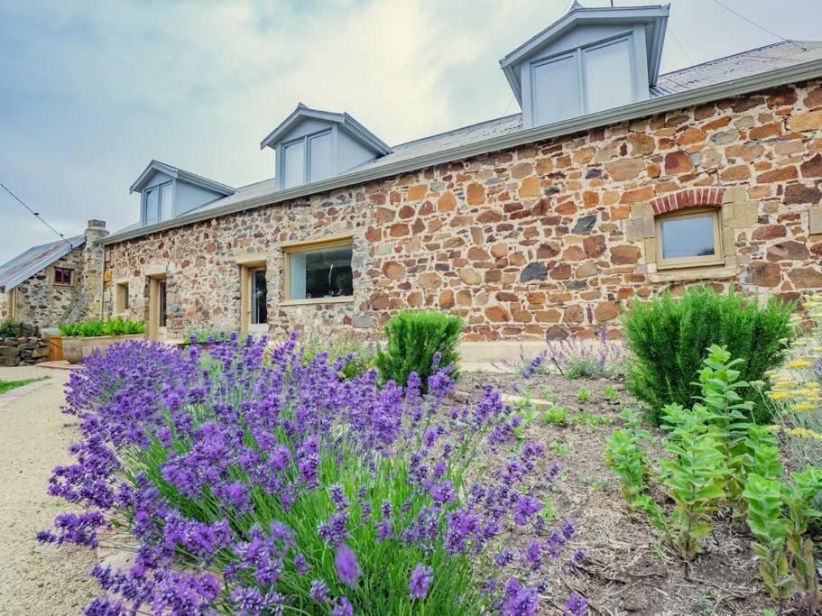 *Newly Relisted* Coach House At Lisdillon Vineyard Villa Little Swanport Dış mekan fotoğraf
